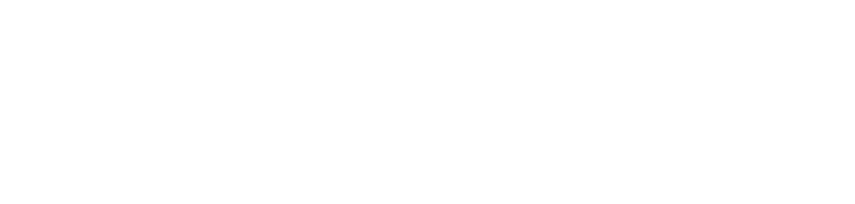 Reveal 54 Logo